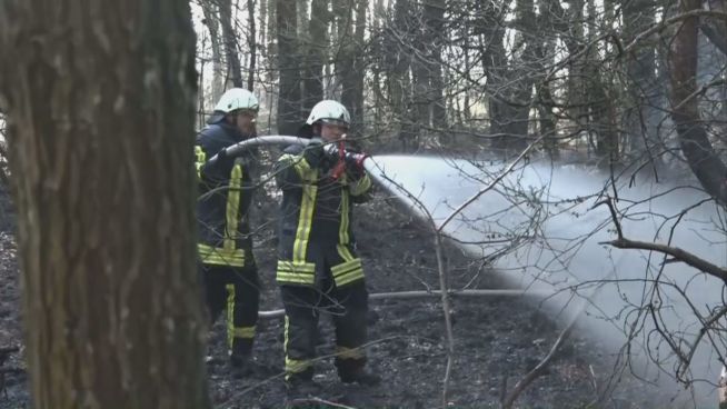 Groß-Alarm in Nordhorn:  2.500 m² Wald in Flammen