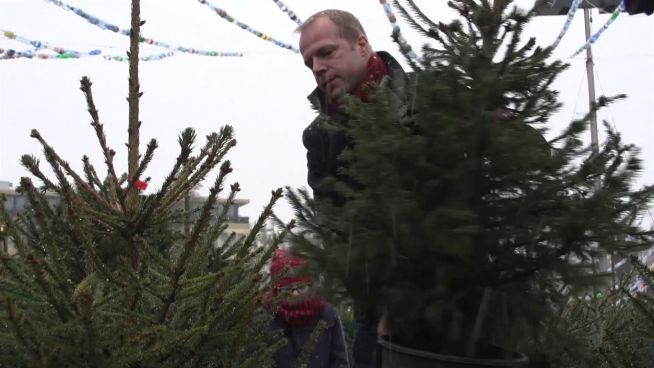 Nachhaltige Weihnachten: 'Adoptiere den Weihnachtsbaum'