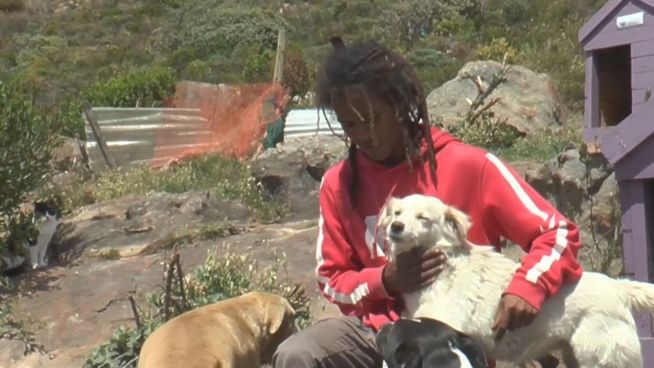Rührend: Obdachloser kümmert sich um 21 Straßenhunde
