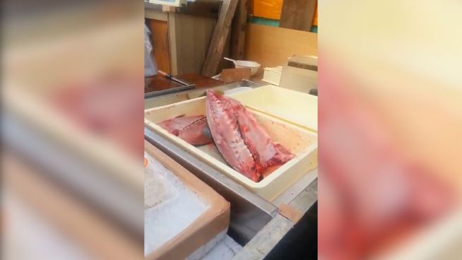 Ohne Kopf: Toter Fisch hört nicht auf zu zappeln