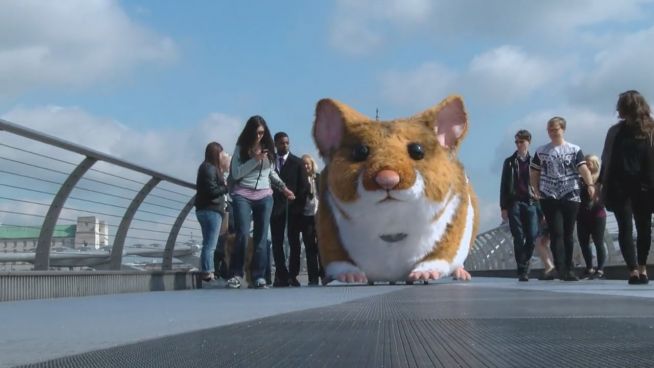 Vorsicht, Nager! Riesen-Hamster macht London unsicher