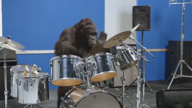 Aldi-Affe: Schlagzeug-Gorilla wirbt für Osterhasen