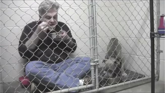 Zusammen im Käfig: Tierarzt isst mit geretteter Hündin