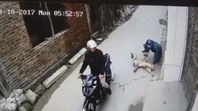 Vietnam: Die grausamen Methoden der Hundefleisch-Mafia
