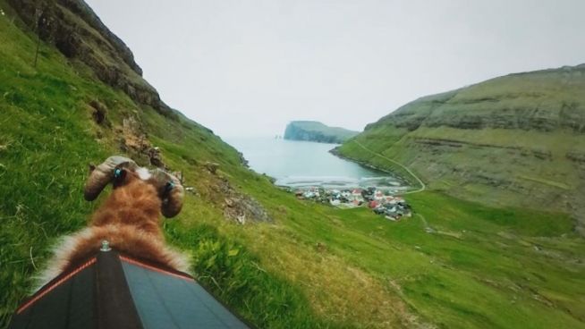 Aus Schaf-Sicht: So funktioniert Streetview auf Färöer