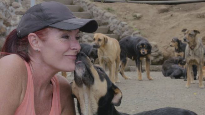 Frauchen für Alle: Das Hundeparadies in den Tropen
