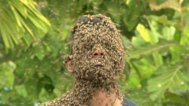 Insekten-Flüsterer: Inder mit Gesicht voller Bienen