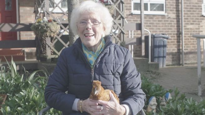 Projekt in England: Sind Hühner gute Therapeuten?