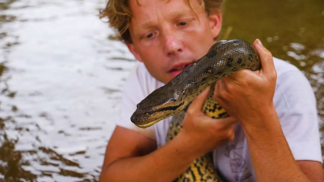 Jagd auf die Anaconda: Biologe sucht neue Spezies